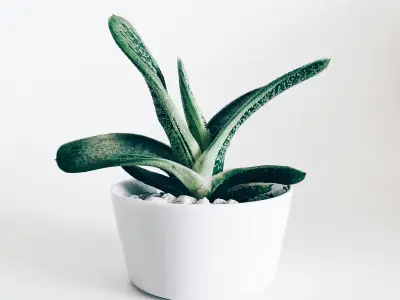 28圈1